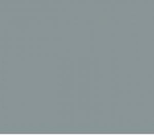Kleur ral 70013
