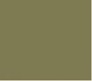 Kleur ral 70022