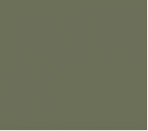 Kleur ral 70032