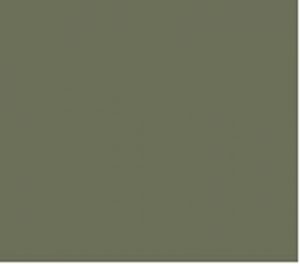 Kleur ral 70033