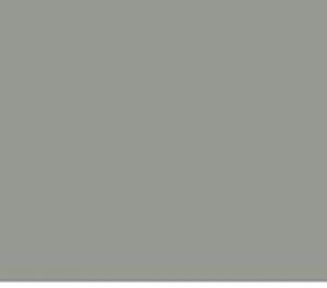 Kleur ral 70042