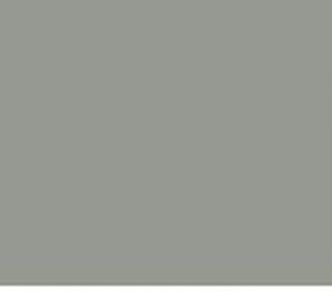 Kleur ral 70043