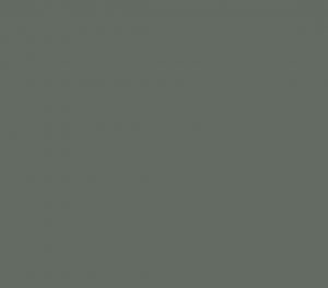 Kleur ral 7005