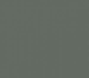 Kleur ral 70051