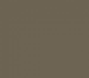 Kleur ral 7006