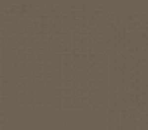 Kleur ral 70061