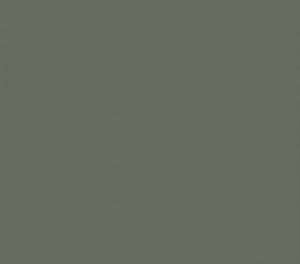 Kleur ral 70231