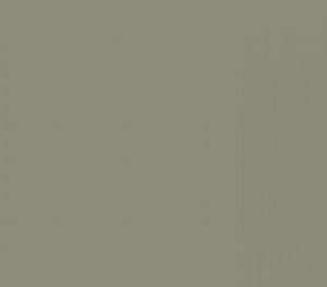 Kleur ral 70301