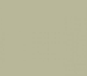 Kleur ral 70321