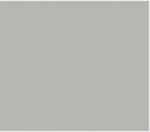 Kleur ral 70381