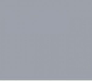 Kleur ral 70401
