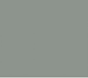 Kleur ral 70421