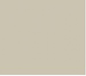 Kleur ral 70441