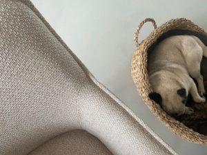 Bio Cement gietvloer | Berkers Vloeren